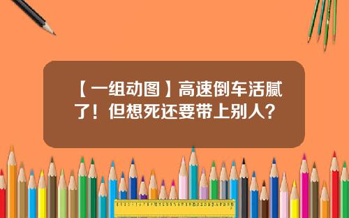 【一组动图】高速倒车活腻了！但想死还要带上别人？