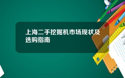 上海二手挖掘机市场现状及选购指南