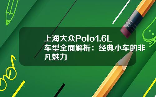 上海大众Polo1.6L车型全面解析：经典小车的非凡魅力