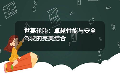 世嘉轮胎：卓越性能与安全驾驶的完美结合