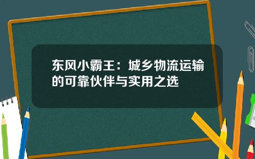 东风小霸王：城乡物流运输的可靠伙伴与实用之选