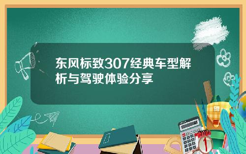 东风标致307经典车型解析与驾驶体验分享