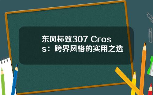 东风标致307 Cross：跨界风格的实用之选