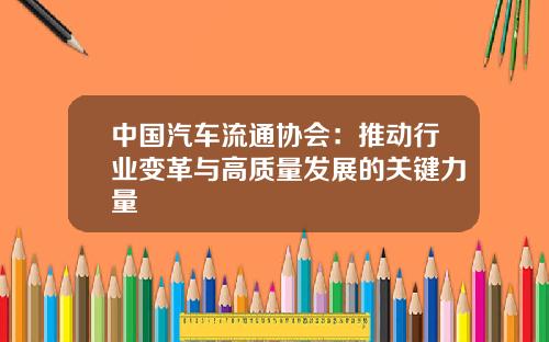 中国汽车流通协会：推动行业变革与高质量发展的关键力量