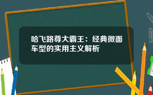 哈飞路尊大霸王：经典微面车型的实用主义解析