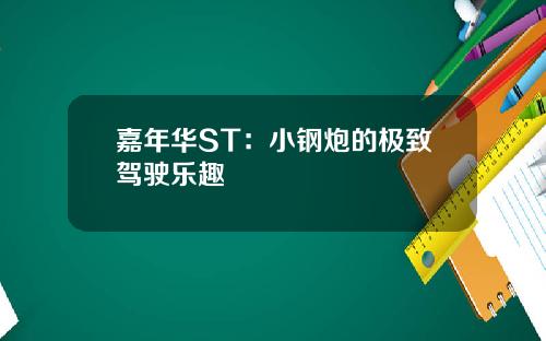 嘉年华ST：小钢炮的极致驾驶乐趣