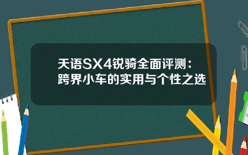 天语SX4锐骑全面评测：跨界小车的实用与个性之选