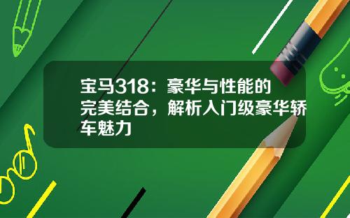 宝马318：豪华与性能的完美结合，解析入门级豪华轿车魅力