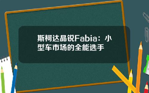 斯柯达晶锐Fabia：小型车市场的全能选手