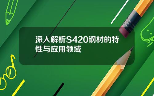 深入解析S420钢材的特性与应用领域
