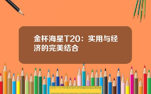 金杯海星T20：实用与经济的完美结合