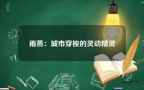 雨燕：城市穿梭的灵动精灵