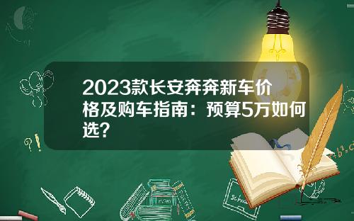 2023款长安奔奔新车价格及购车指南：预算5万如何选？